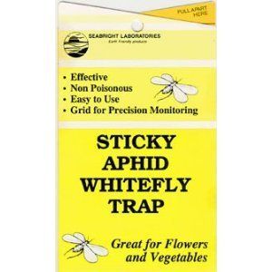 Sticky Aphid Whitefly Trap