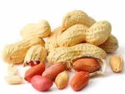 Fresh Groundnut