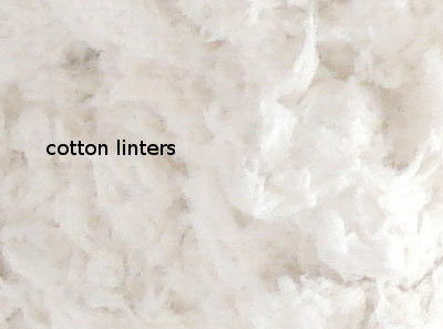 Cotton Linter