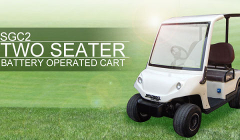 Two Seater Electric Golf Cart