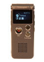 Digital Voice Recorder