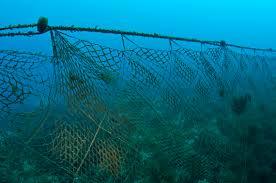 Fishing Nets in Bangalore - Dealers, Manufacturers & Suppliers