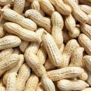 Groundnut Kernels