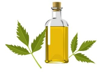 Neem Oil 