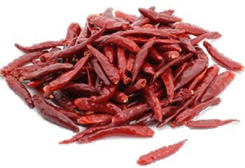 Red Chilli 