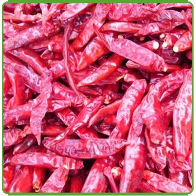 Sanam Dried Red Chilli