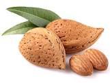 Almond Nuts