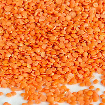 Lentils