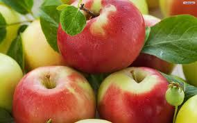 Fresh Apples - 20kg/18kg/4kg Carton, Various Sizes & Types Including Fuji and Green Apple Varieties