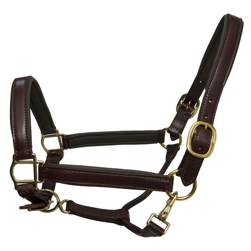 Leather S. G. Halters