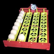 Egg Incubator Tray