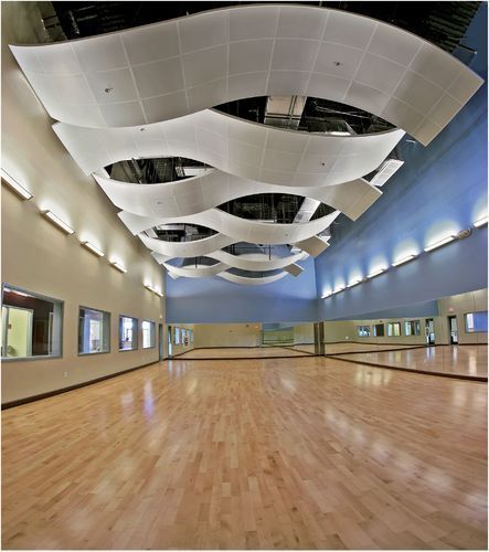 Acoustic Ceiling System