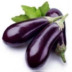 Fresh Brinjal