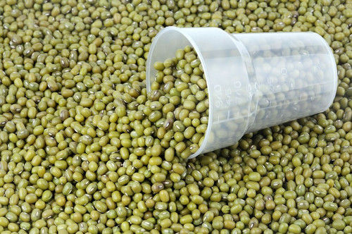 Mung Beans - Premium Quality Green Gram | High in Protein, Rich in Dietary Fiber, Versatile Ancient Superfood