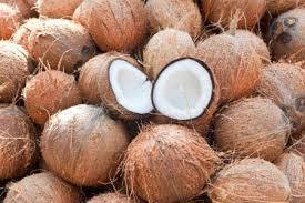 Ohm Coconut