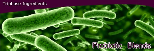 Probiotic Blends - Customized Temperature-Stable Lactobacillus & Saccharomyces Strains | Tailored Solutions, High Efficacy