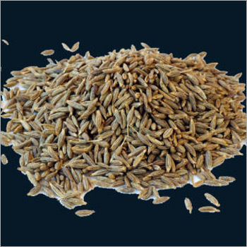 High Quality Cumin Powder