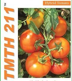 Tomato Hybrid Tmth 211