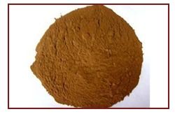 Catechu Extract