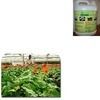 Micronutrient Fertilizers For Plant Growth