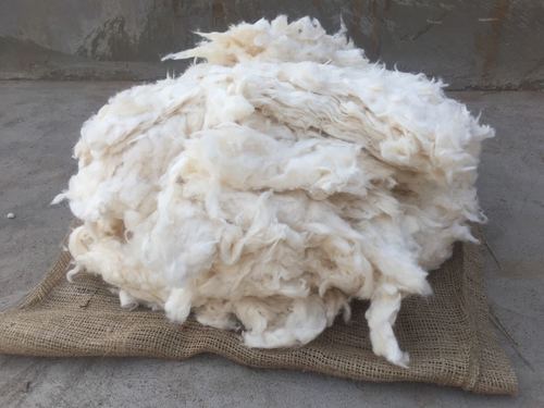 Cotton Comber Use: Due To Low Trash Product