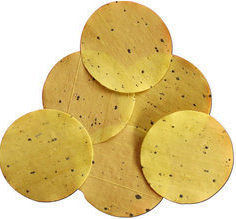 Plain Papads