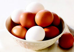 Roj Eggs