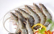 Black Tiger Prawn - Large Size, Impressive Red Striping , Ideal for Grilling and Flambéing