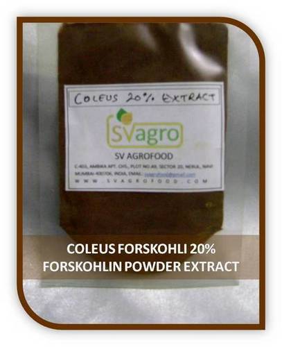 Herbal Coleus Forskohlii Extract