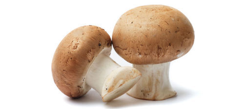 Mushroom - Fresh, Organic Varieties | Anti-Viral and Anti-Cancer Properties, High in Niacin and Selenium, Long Shelf Life