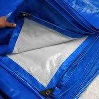 Plastic Tarpaulins