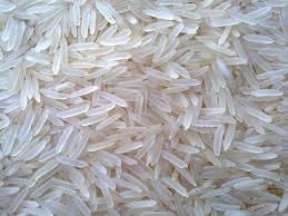 Premium Grade Basmati Rice