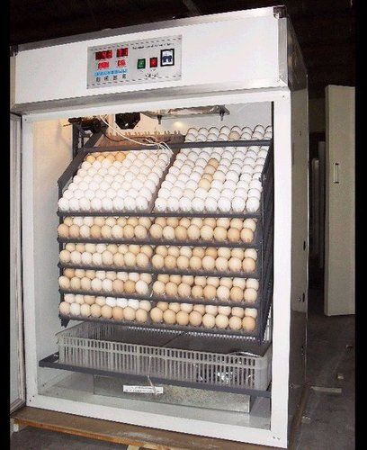 Egg Incubator