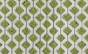 Grass Pavers