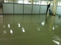Water Based Floor Coating Service