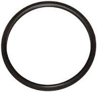 Ss Cooker Gasket