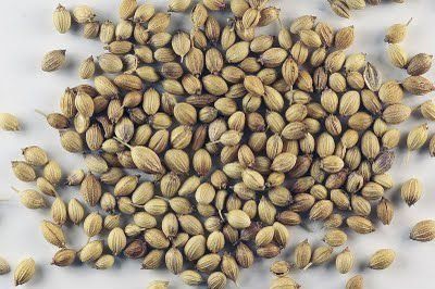 Dry Organic Coriander Seeds