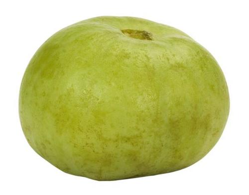 Apple Gourd Seed