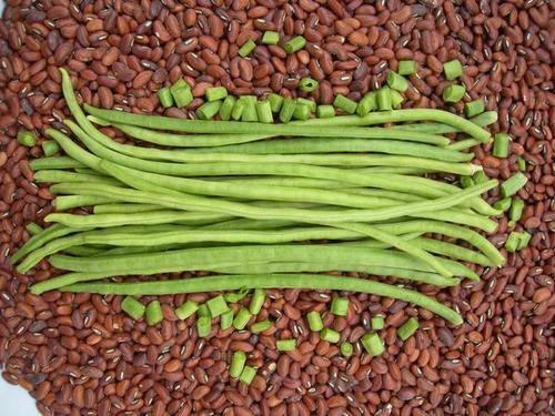 Cowpeas Seed