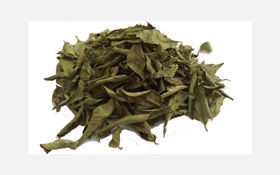 Dehydrated Curry Leaves