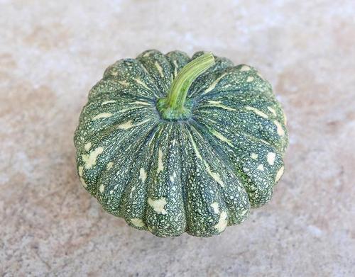 Pumpkin (Kaddu) Seed