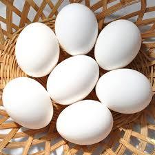 Poultry Eggs