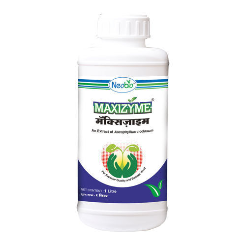 Maxizyme लिक्विड रेगुलेटर