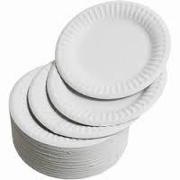 Paper Plate - Disposable Biodegradable, Eco-Friendly Design for All Occasions