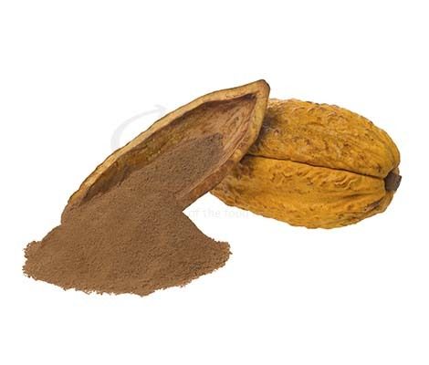 Cocoa Powder (Natural and Alkalized)