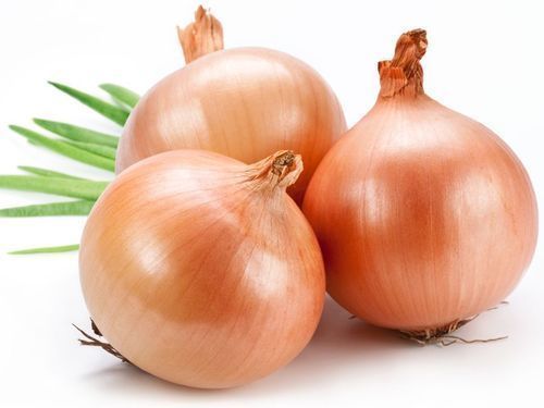 Farm Fresh Onion