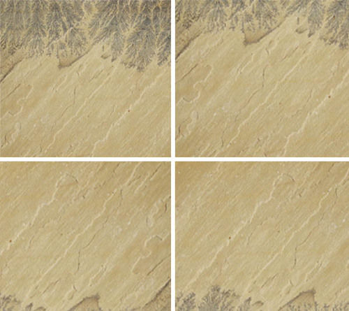 Fossil Mint Sandstone Slabs