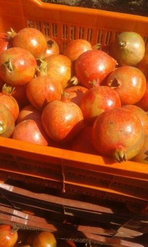 Fresh Pomegranate