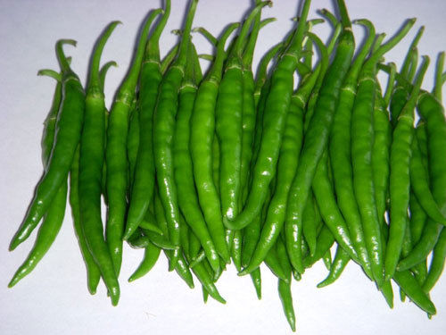 Green Hot Pepper