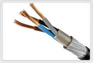 Cable Armour (Flat Wire)